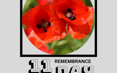 In honour of Remebrance Day…