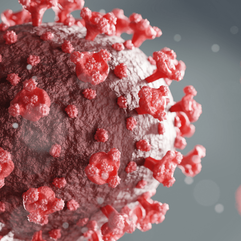 close up of covid-19 virus