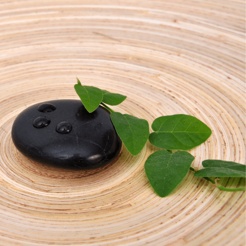 Black Basalt stone laying on tree rings with leafy vine draped across